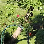 Appartamento #4 Mit Terrasse In Zentraler Dennoch Ruhiger Lage - Stadtbus Vor Der Tuer! *