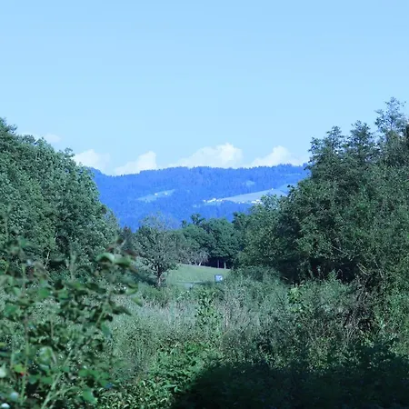 #4 Mit Terrasse In Zentraler Dennoch Ruhiger Lage - Stadtbus Vor Der Tuer! Appartamento *